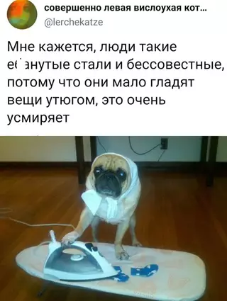 Смешная картинка №694342