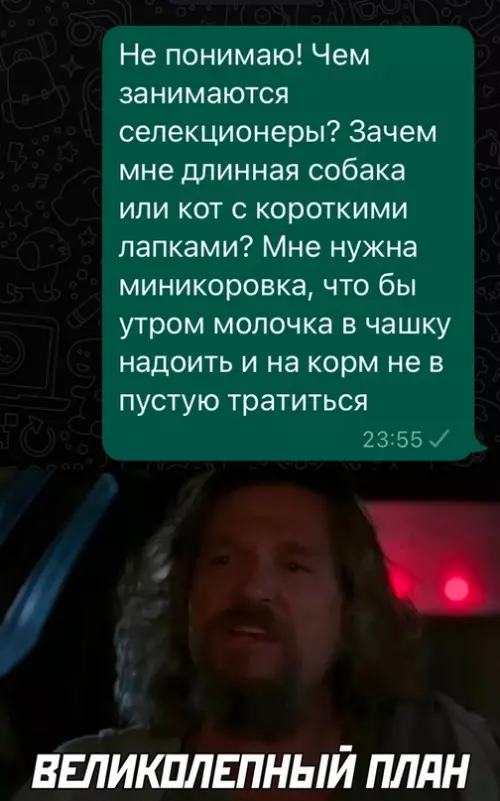 Смешная картинка №670446
