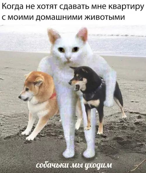 Смешная картинка №372634