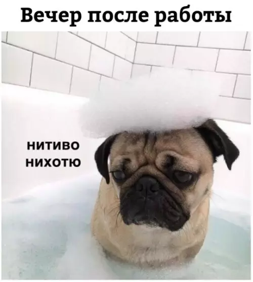 Смешная картинка №259576