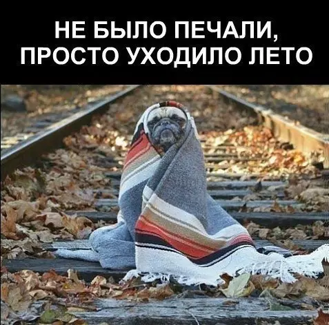 Смешная картинка №203066