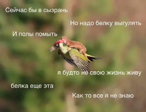 Смешная картинка №666717