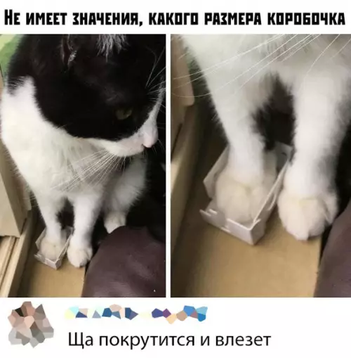 Смешная картинка №380487