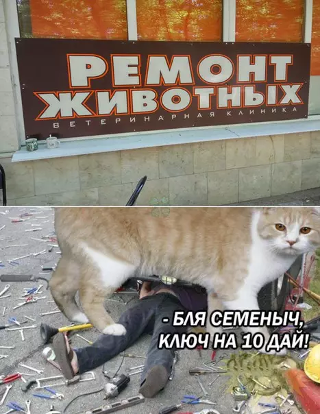 Смешная картинка №264605
