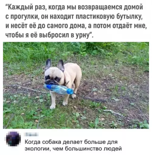 Смешная картинка №362993 Хороший мaльчик.