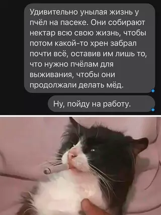 Смешная картинка №671090