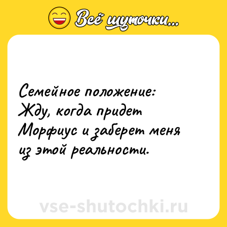 Шутка: Семейное положение: <br>Жду, когда придет Морфиус и заберет меня из этой реальности.