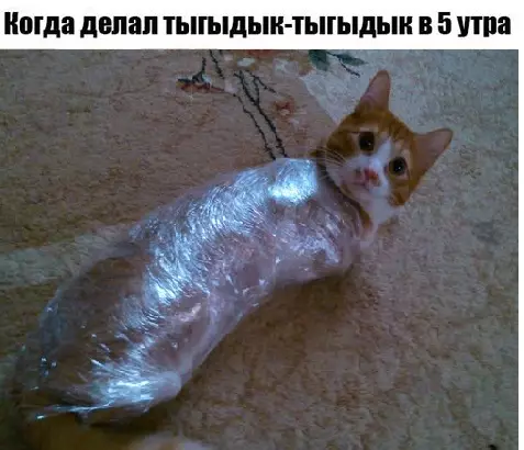 Смешная картинка №282401