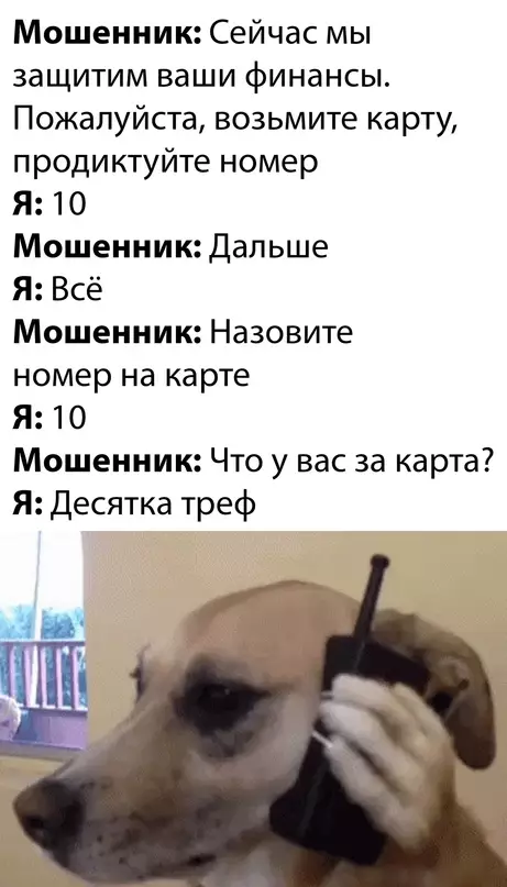 Смешная картинка №664237