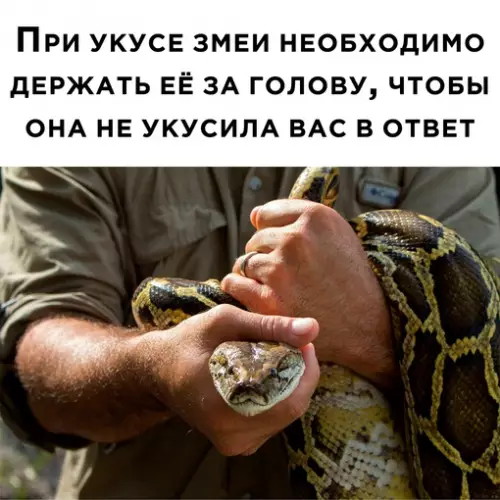 Смешная картинка №669780