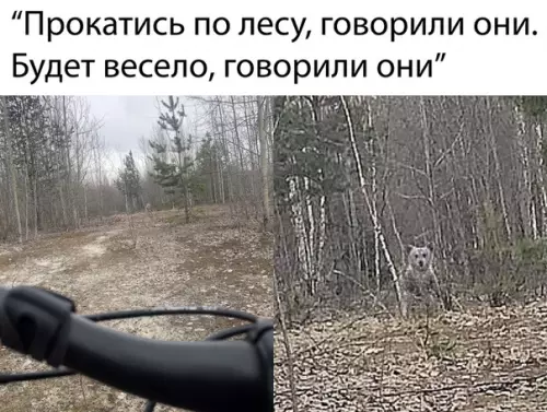 Смешная картинка №489813