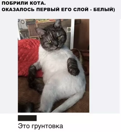 Смешная картинка №445172 Стиль превышего всего