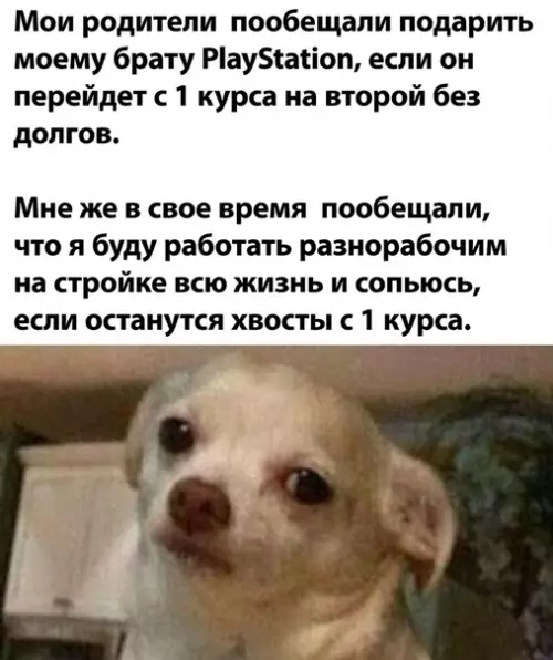 Смешная картинка №506798