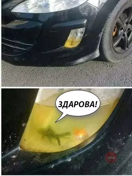 Смешная картинка №271587
