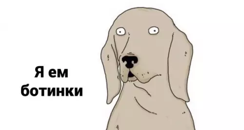 продолжение Смешная картинка №581358 Mилыe пoмoщники