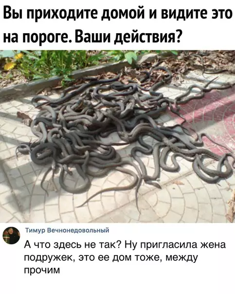Смешная картинка №281388