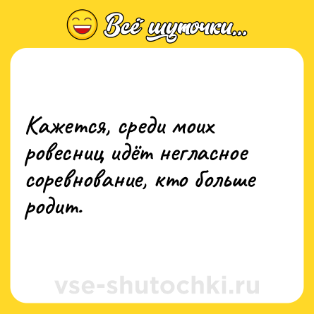 Шутка: Кажется, среди моих ровесниц идёт негласное соревнование, кто больше родит.