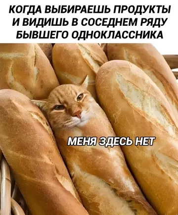 Смешная картинка №757847