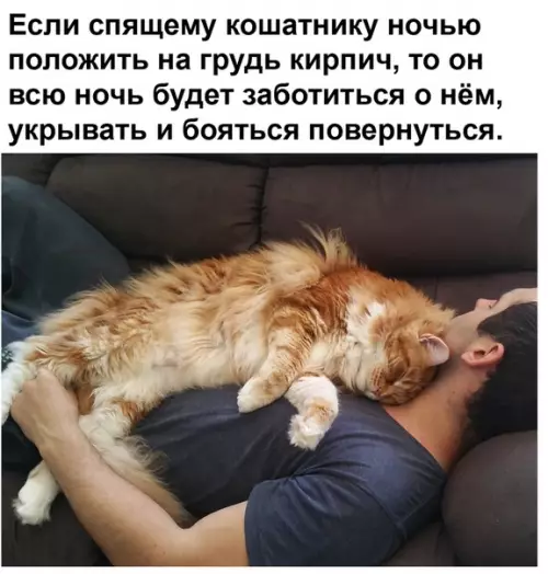 Смешная картинка №491515 Маленький эксперимент