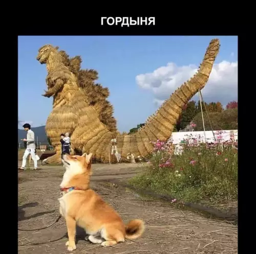 Смешная картинка №296240 Семь смертных грехов