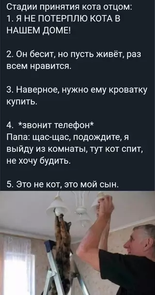 Смешная картинка №720743