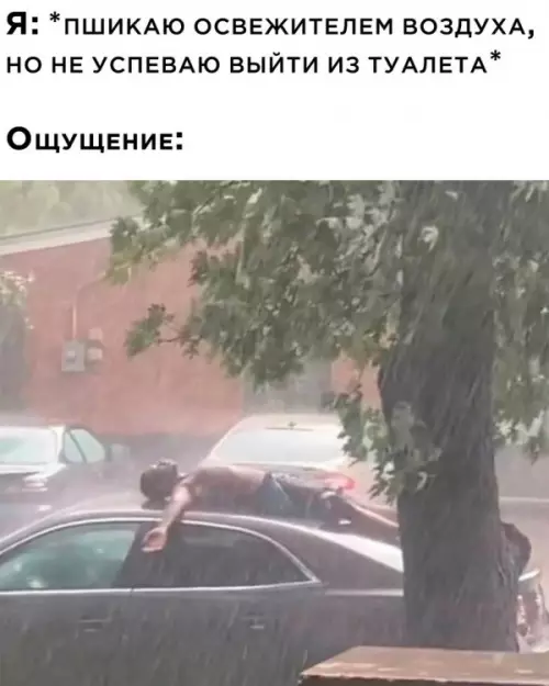 Смешная картинка №660644