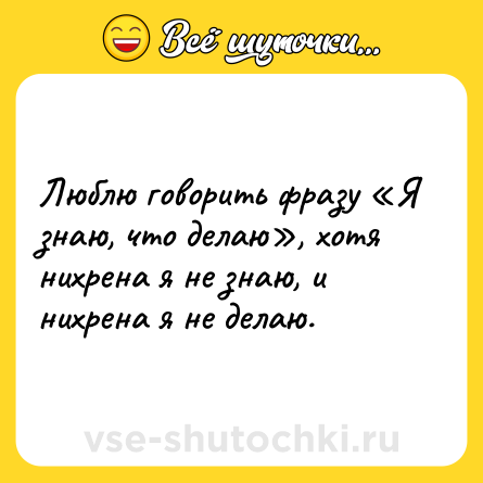 Шутка: Люблю говорить фразу «Я знаю, что делаю», хотя нихрена я не знаю, и нихрена я не делаю.