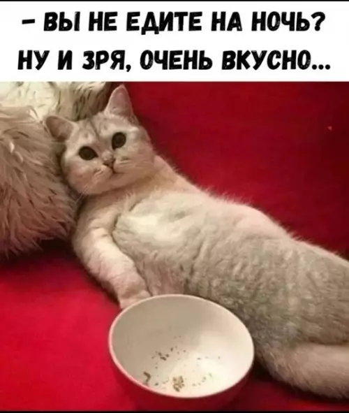 Смешная картинка №775488
