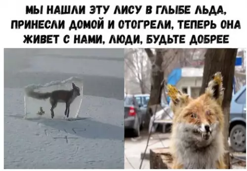 Смешная картинка №216354