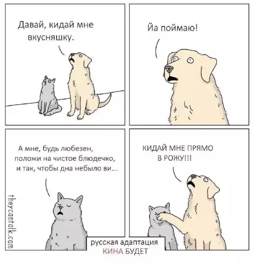 Смешная картинка №698749 коты, собаки