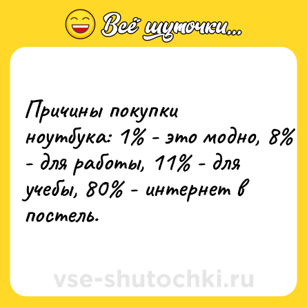 Шутка: Причины покупки ноутбука: 1% - это модно, 8% - для работы, 11% - для учебы, 80% - интернет в постель.