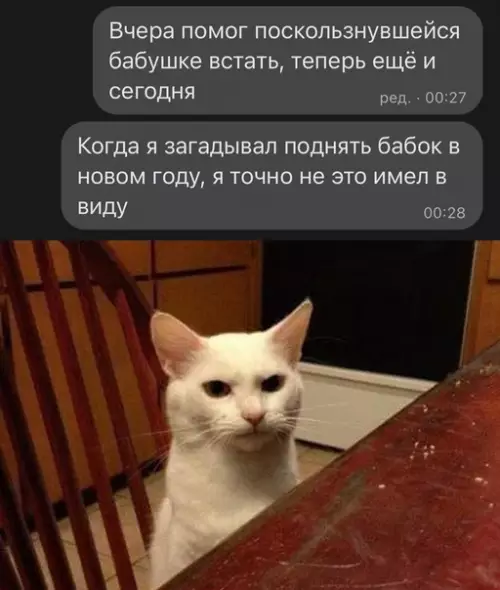 Смешная картинка №622009 Новый год