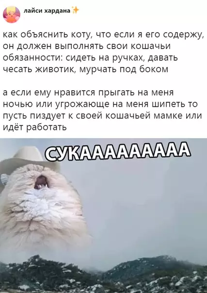 Смешная картинка №335224