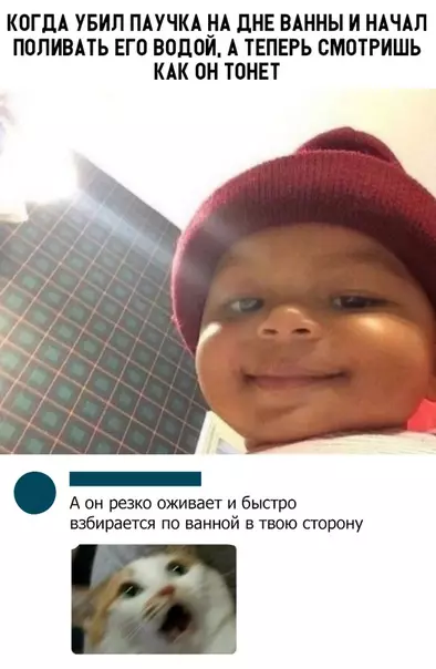 Смешная картинка №321055