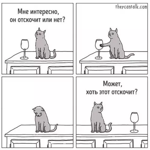 Смешная картинка №195397 коты