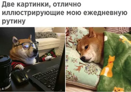Смешная картинка №229634