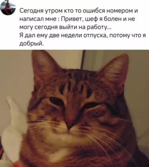 Когда ты не злой босс, а просто святой 😇 - Сегодня утром кто то ошипся номером и написал мне :
