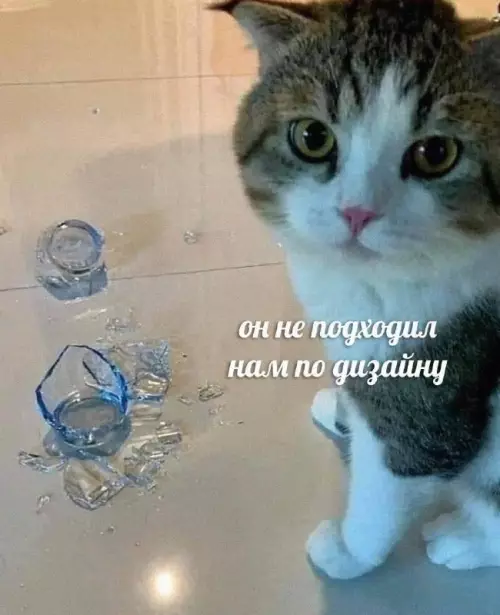 Смешная картинка №812960 Коты