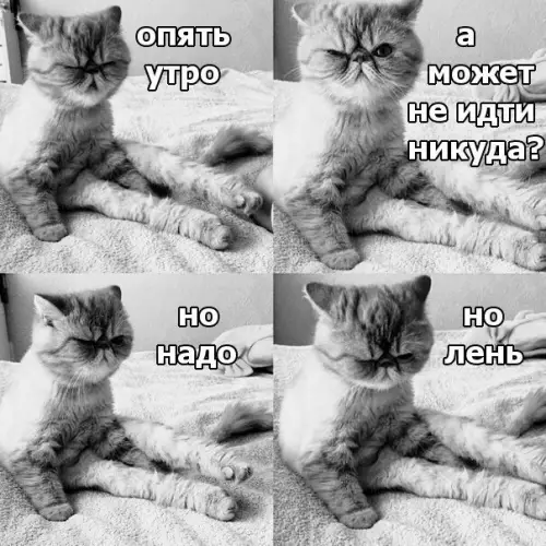 Смешная картинка №221183 Мои мысли каждое утро