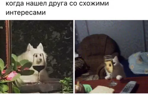 Смешная картинка №196027