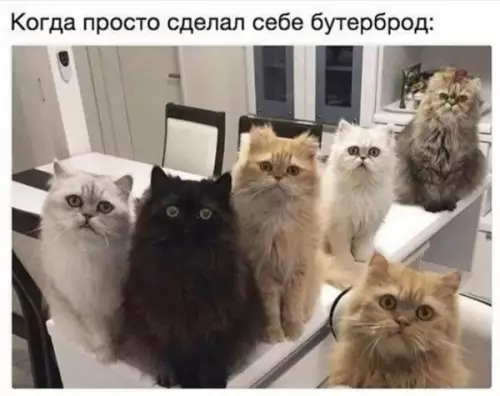 Смешная картинка №651193