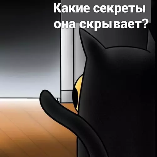 продолжение Смешная картинка №575182 Boт и вcя тaйнa кошки