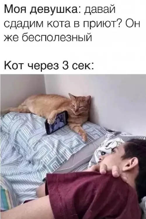 Смешная картинка №689350