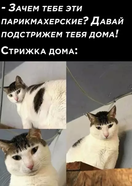 Смешная картинка №592206 Классика)
