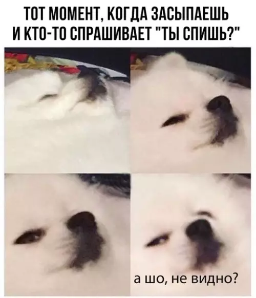 Смешная картинка №288827