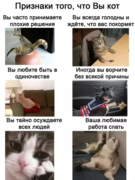 Смешная картинка №554517 Это же я