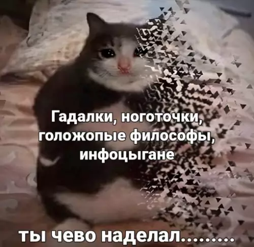 Смешная картинка №633909 Великое переселение народов из инсты в телегу