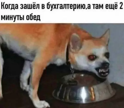 Смешная картинка №684509