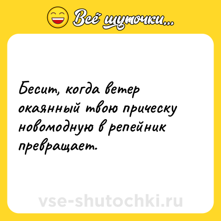 Шутка: Бесит, когда ветер окаянный твою прическу новомодную в репейник превращает.