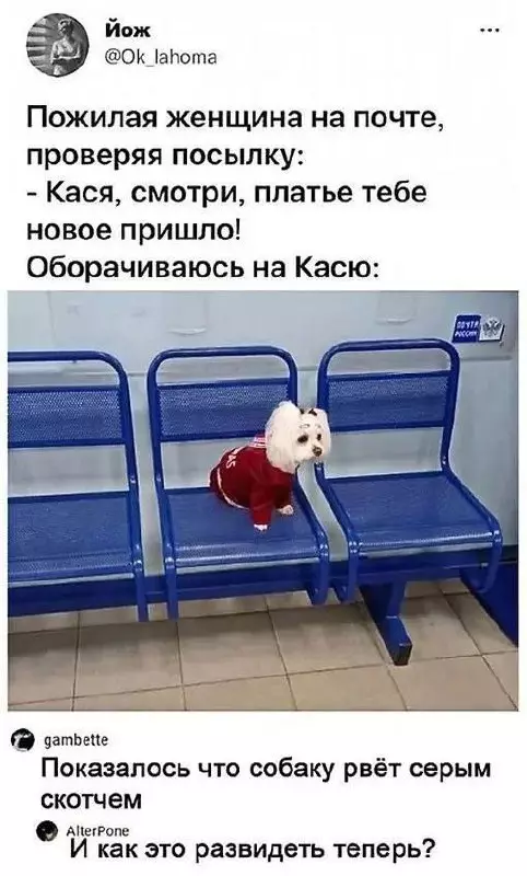 Когда заказывал платье, а пришло нечто 🐶😂 - Пожилая женщина на почте, проверяя посылку: - Кася, смотри, платье